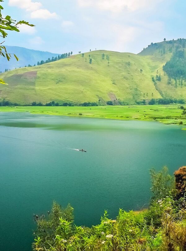 Toba